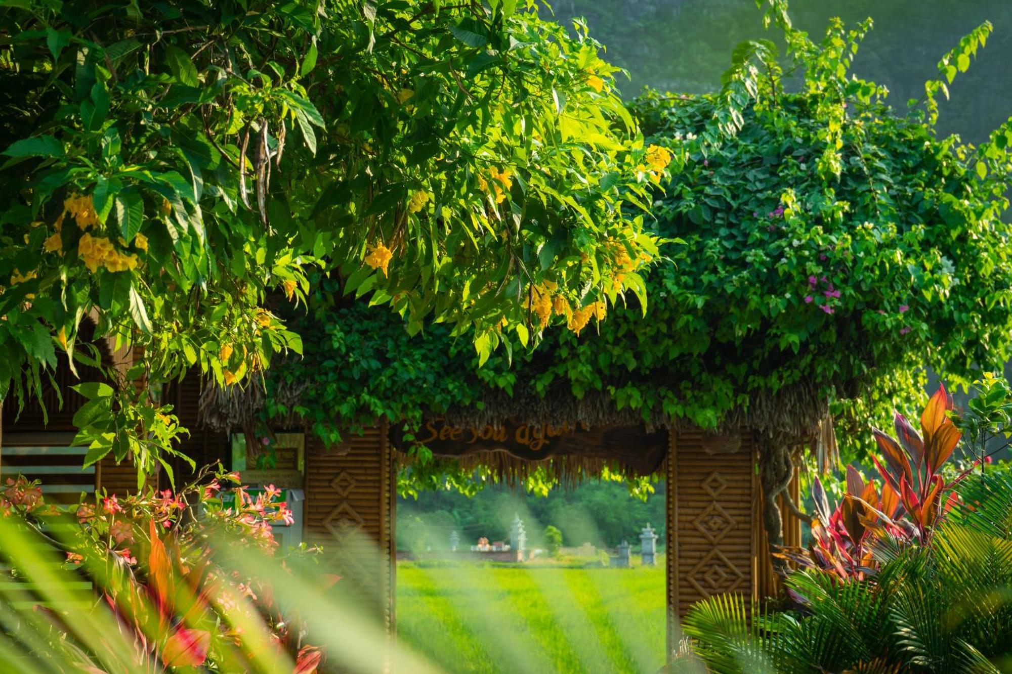 Tam Coc Minh Hung Homestay Νιν Μπιν Εξωτερικό φωτογραφία